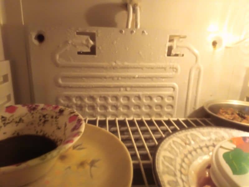Haier refrigerator 17