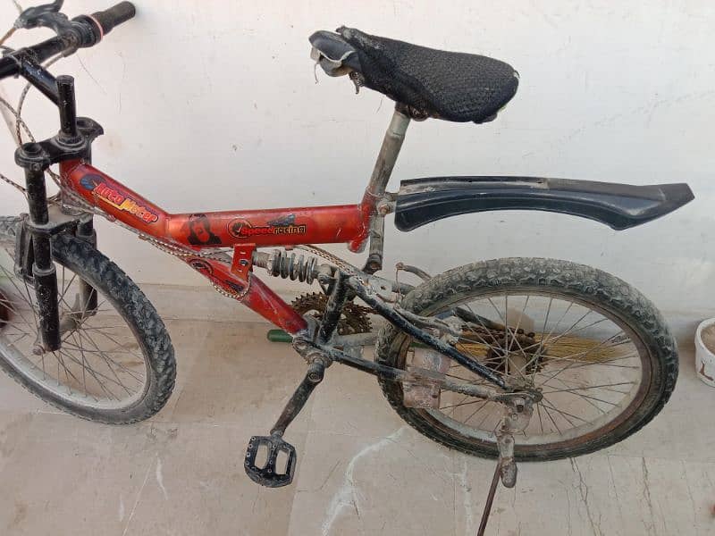 Cycle For 12 to 13 years 0