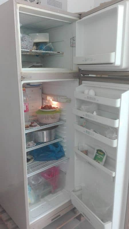 PEL Refrigerator 2