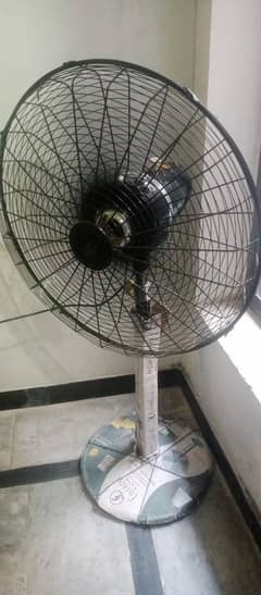 pedestal fan for sale