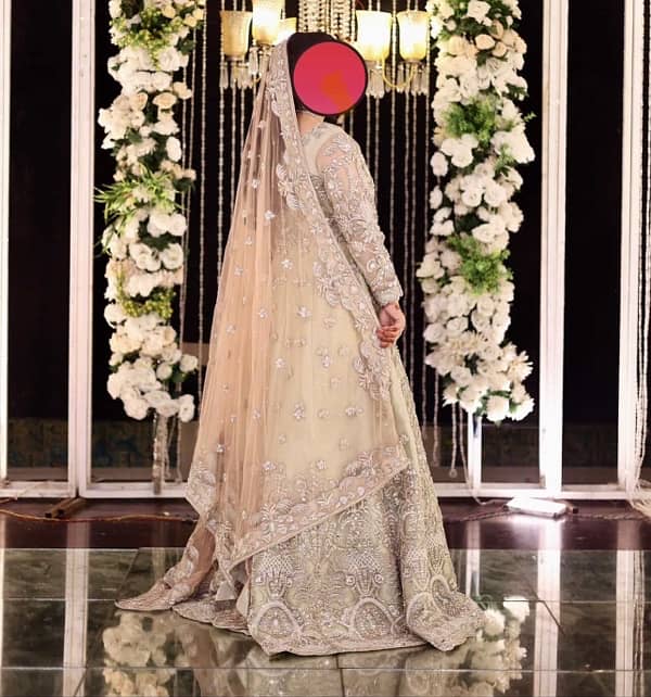 walima Maxi 1