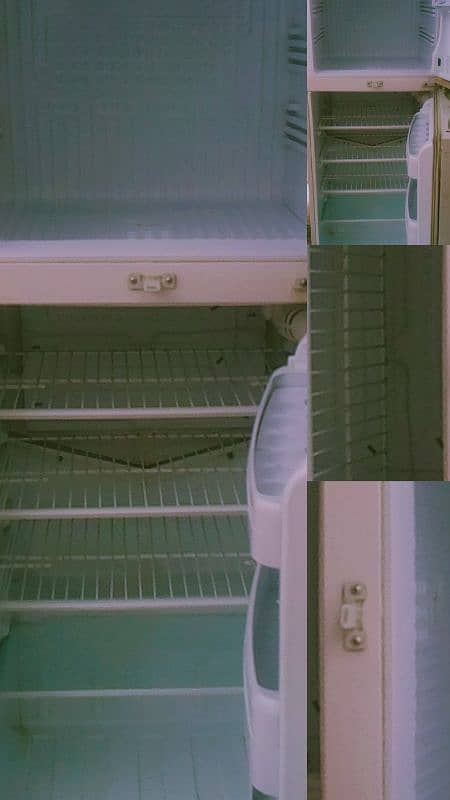 pel fridge 0