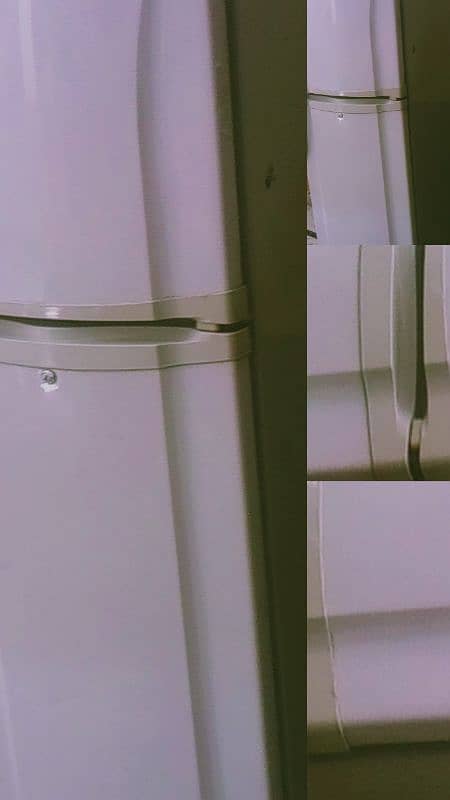 pel fridge 1