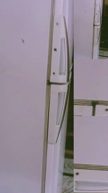 pel fridge 2