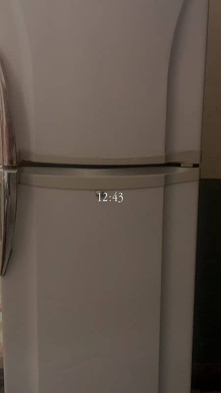 pel fridge 4