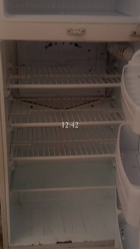 pel fridge 8