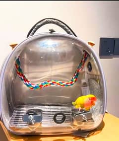 Bird