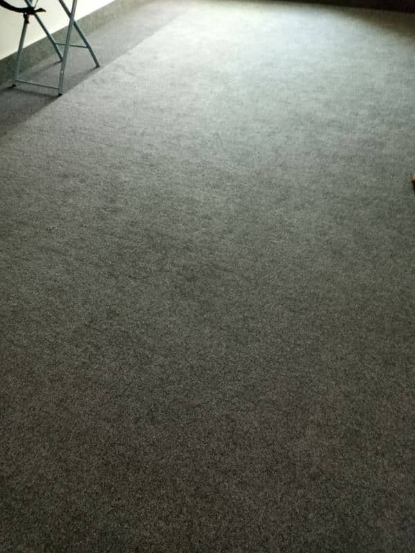 carpet for sale 3 months used 0