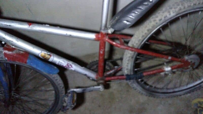 Cycle 4 sale 1