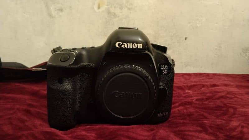 Canon 5D Mark 3 (Mark iii) + 85mm f1.4 Sigma DG HSM 1