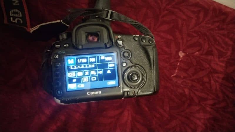 Canon 5D Mark 3 (Mark iii) + 85mm f1.4 Sigma DG HSM 2