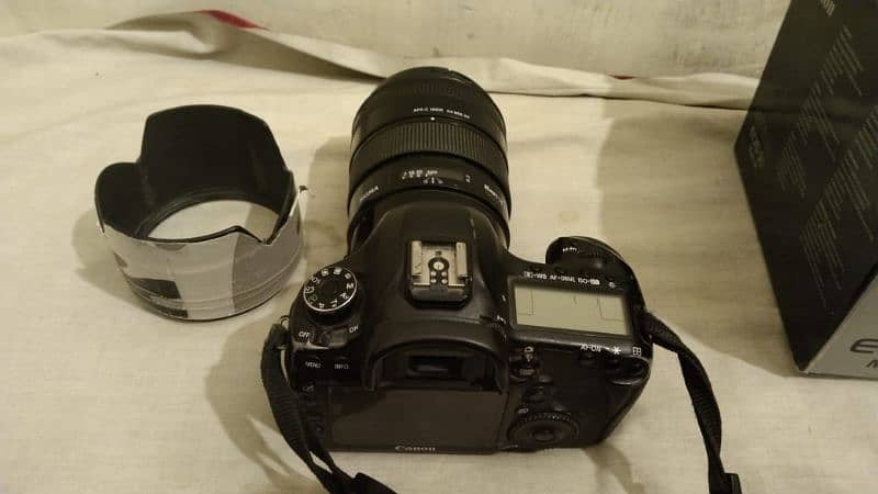 Canon 5D Mark 3 (Mark iii) + 85mm f1.4 Sigma DG HSM 3