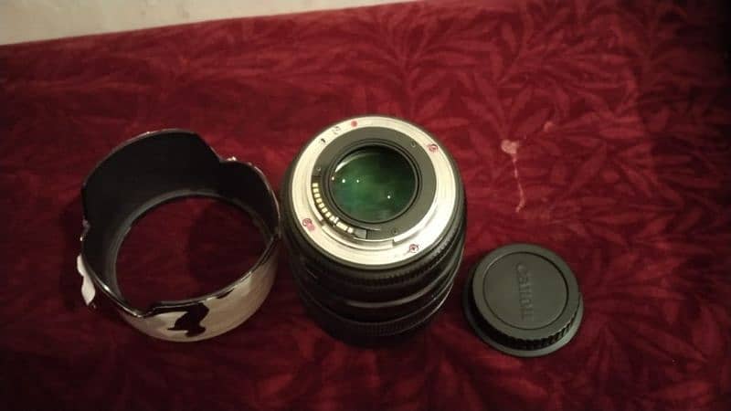Canon 5D Mark 3 (Mark iii) + 85mm f1.4 Sigma DG HSM 4