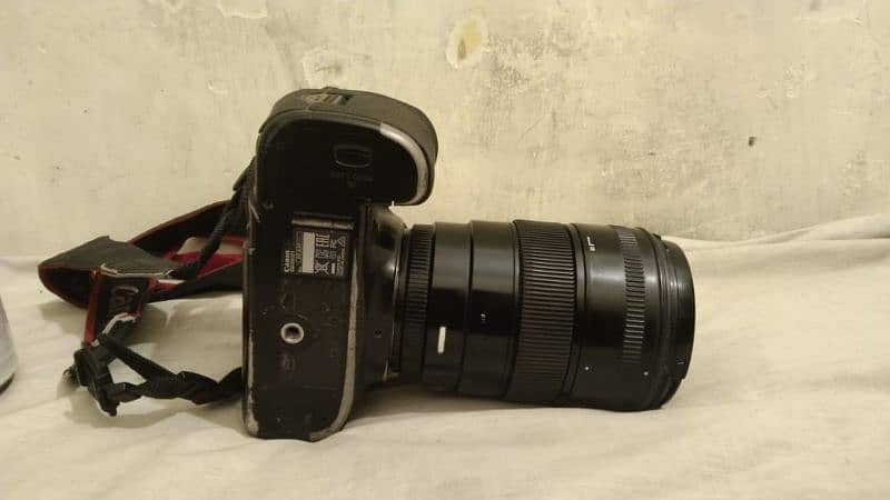 Canon 5D Mark 3 (Mark iii) + 85mm f1.4 Sigma DG HSM 8