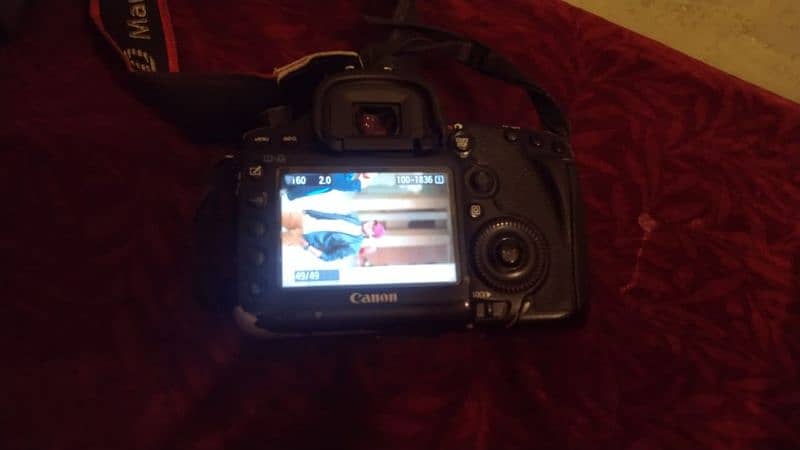 Canon 5D Mark 3 (Mark iii) + 85mm f1.4 Sigma DG HSM 13