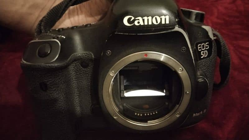 Canon 5D Mark 3 (Mark iii) + 85mm f1.4 Sigma DG HSM 15