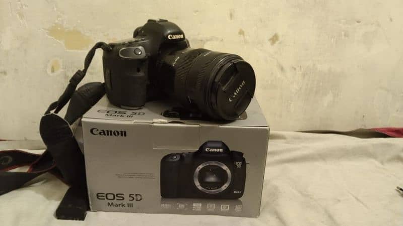 Canon 5D Mark 3 (Mark iii) + 85mm f1.4 Sigma DG HSM 16