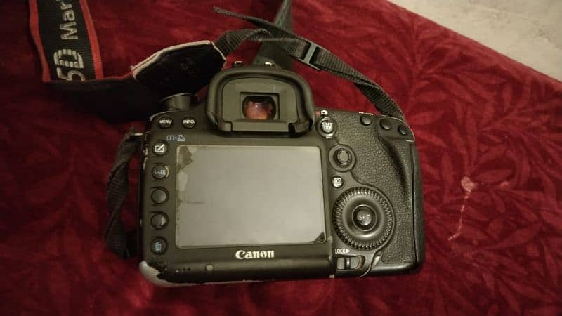 Canon 5D Mark 3 (Mark iii) + 85mm f1.4 Sigma DG HSM 17