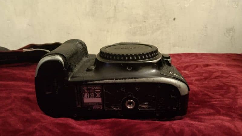 Canon 5D Mark 3 (Mark iii) + 85mm f1.4 Sigma DG HSM 19
