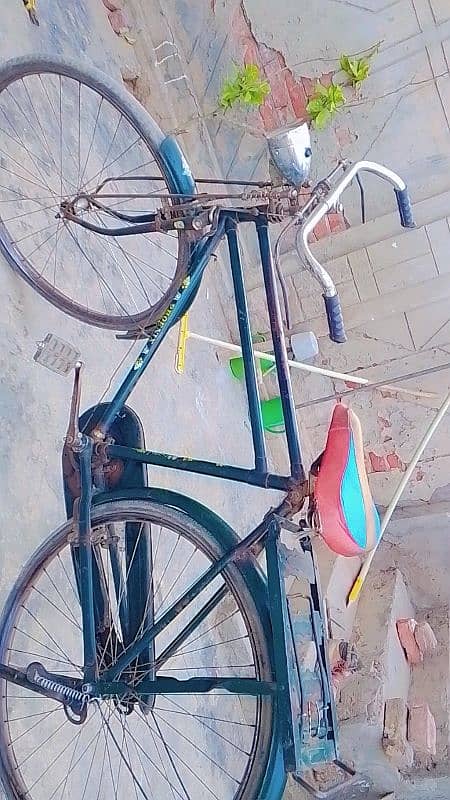 phoenix cycle 5