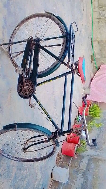 phoenix cycle 6