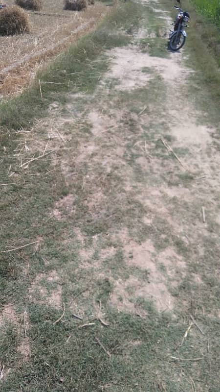 corner plot urgent for sale ( cash and Installment ) 5