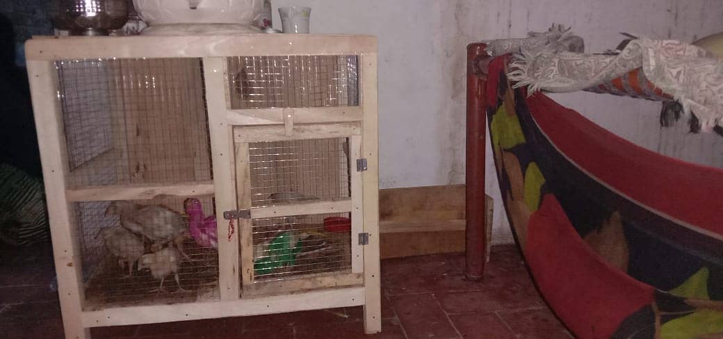 cage in cheap price 0