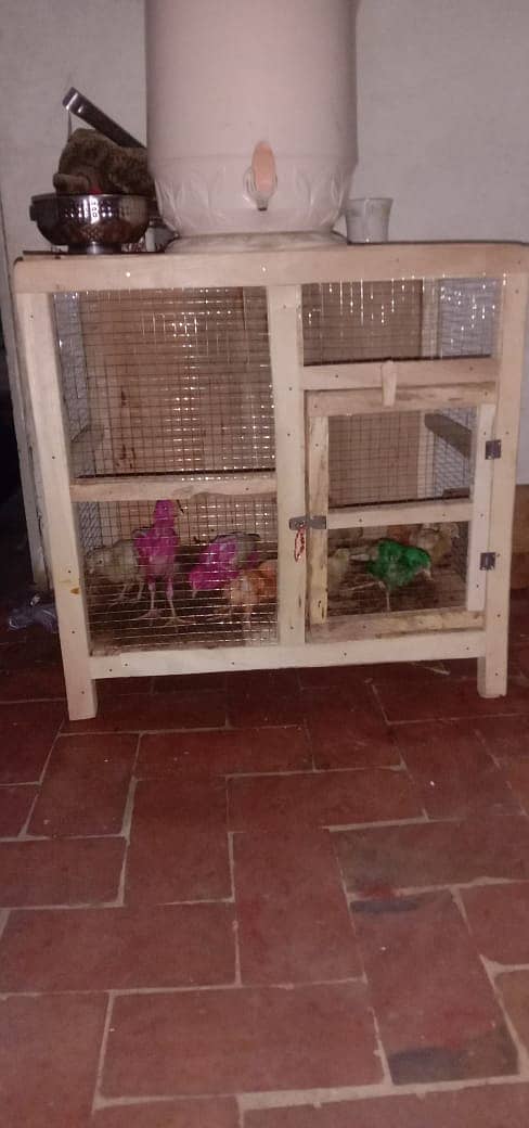 cage in cheap price 1