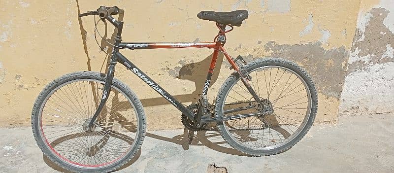 Bicycle 1