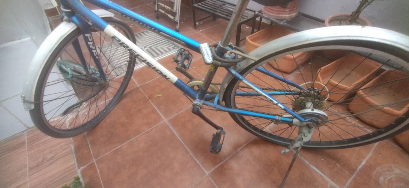 Precision bicycle 0