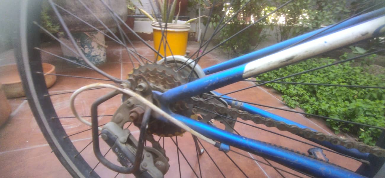 Precision bicycle 1