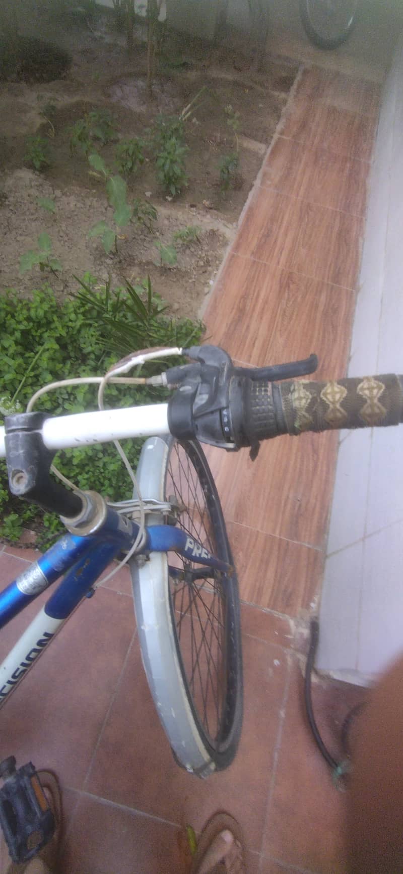 Precision bicycle 2