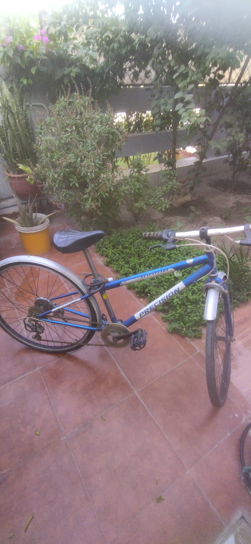 Precision bicycle 3
