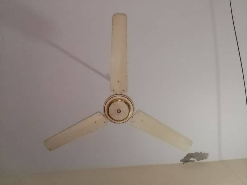 white colour fan 0