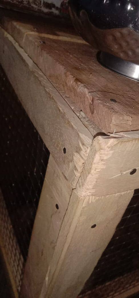 cage in cheap price 2