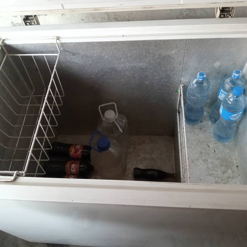 Haier deep freezer single door 1