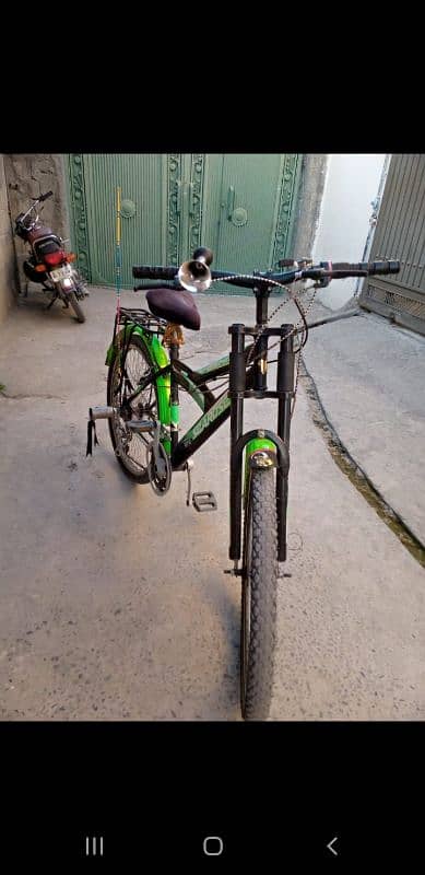 SEAROSE CYCLE 6