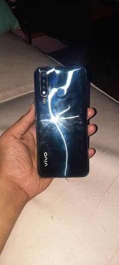 vivo