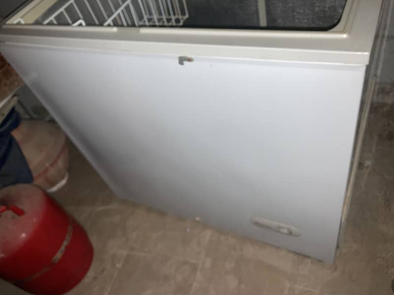 Deep Freezer DF-300P 5