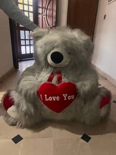 White Teddy Bear