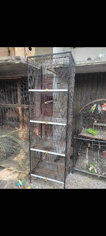 cage 4 portion 0