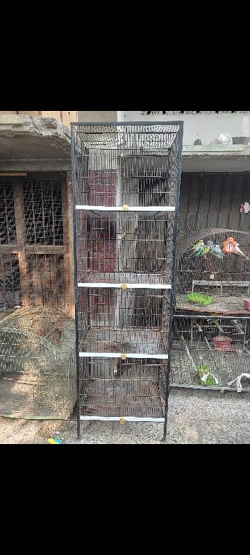 cage 4 portion 1
