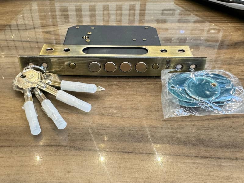 Roller Lock Body Door lock / Door Locks / Sliding Door Lock 12