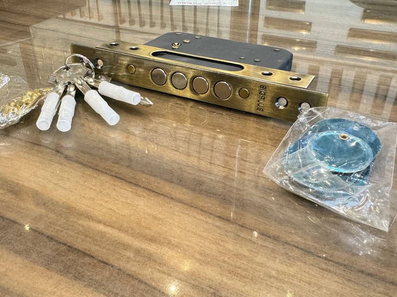 Roller Lock Body Door lock / Door Locks / Sliding Door Lock / 8