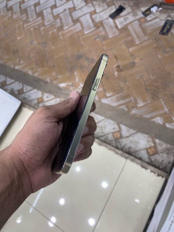 iphone 12 pro max  pta approved 2