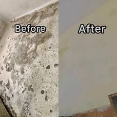 Painter