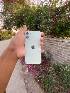 iPhone 12mini 128gb non jv 100% water pack