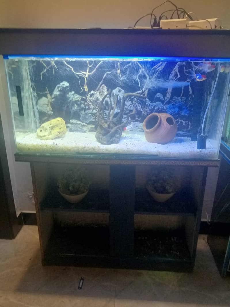 Aquariums n fishes 0