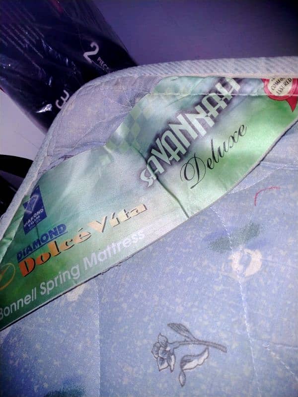 diamond dolc'vitta 2