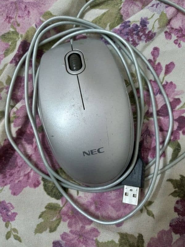mouse 1